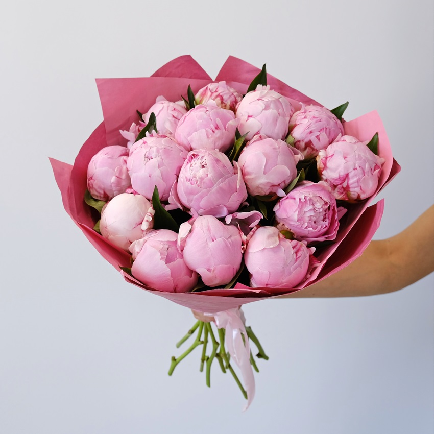 Пионы Сара Бернар, 15 штук