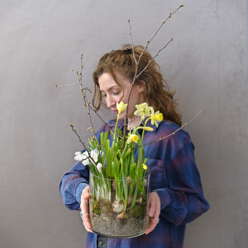 Луковичные крокусы и нарциссы в стеклянной вазе