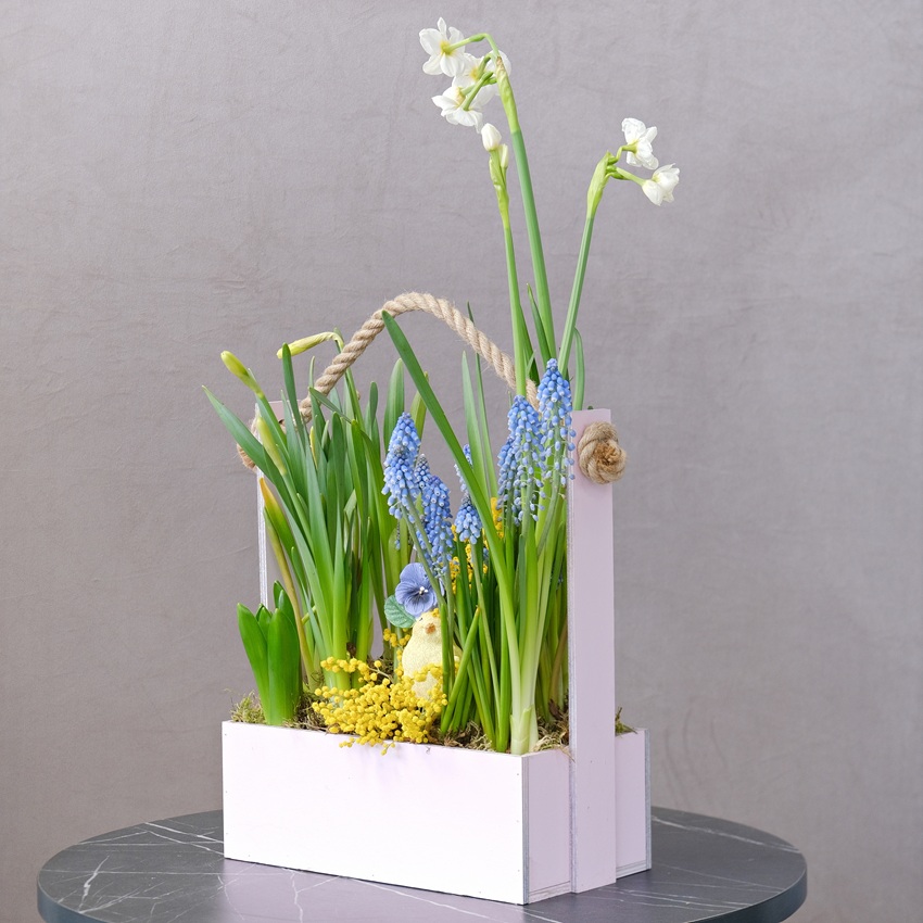 Цветущий садик в ящике: мускари, гиацинты и нарциссы с сувениром "Цыпочка"