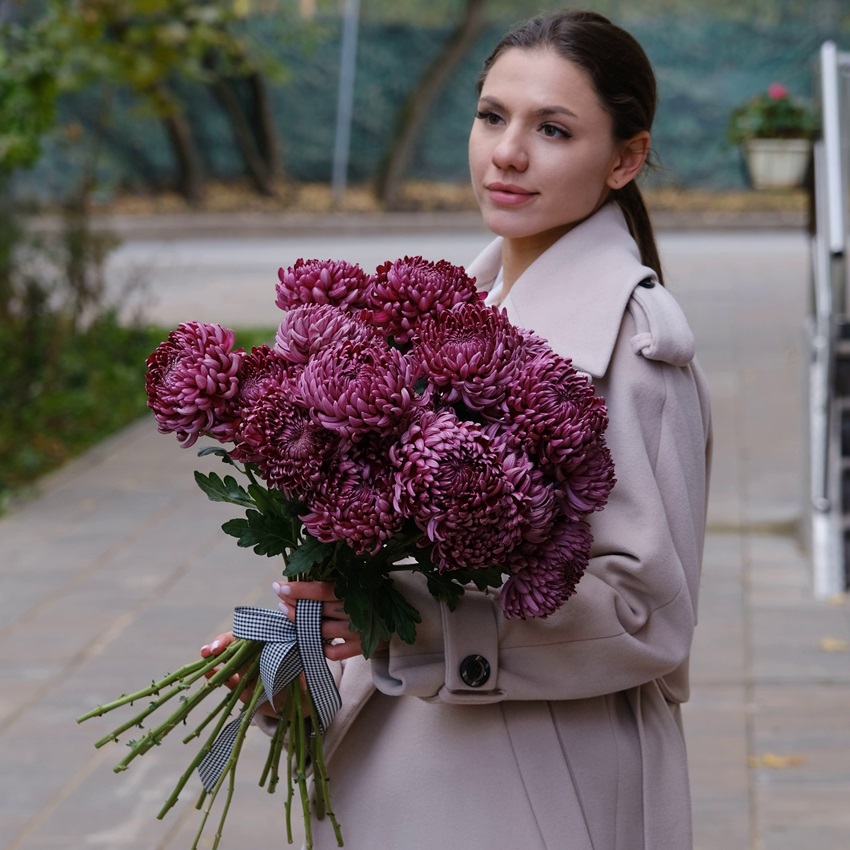 Хризантемы Бигуди винного оттенка, 19 штучек