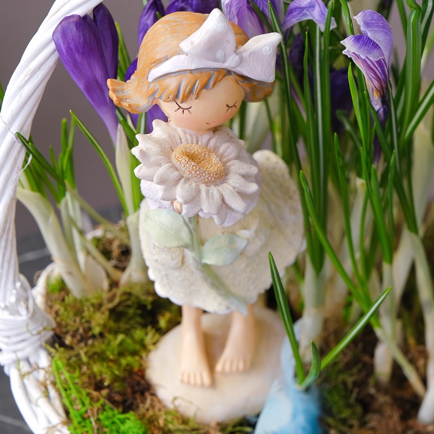 Садик с первоцветами (крокусы) и сувениром в корзинке "Девочка с цветком"