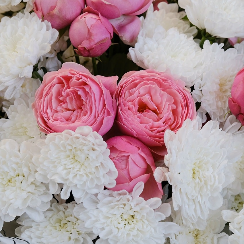 Кустовые пионовидные розы и хризантемы в букете "Моему ангелу"