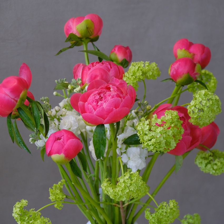 Букет в вазе. Коралловые пионы, маттиола и яркая зелень
