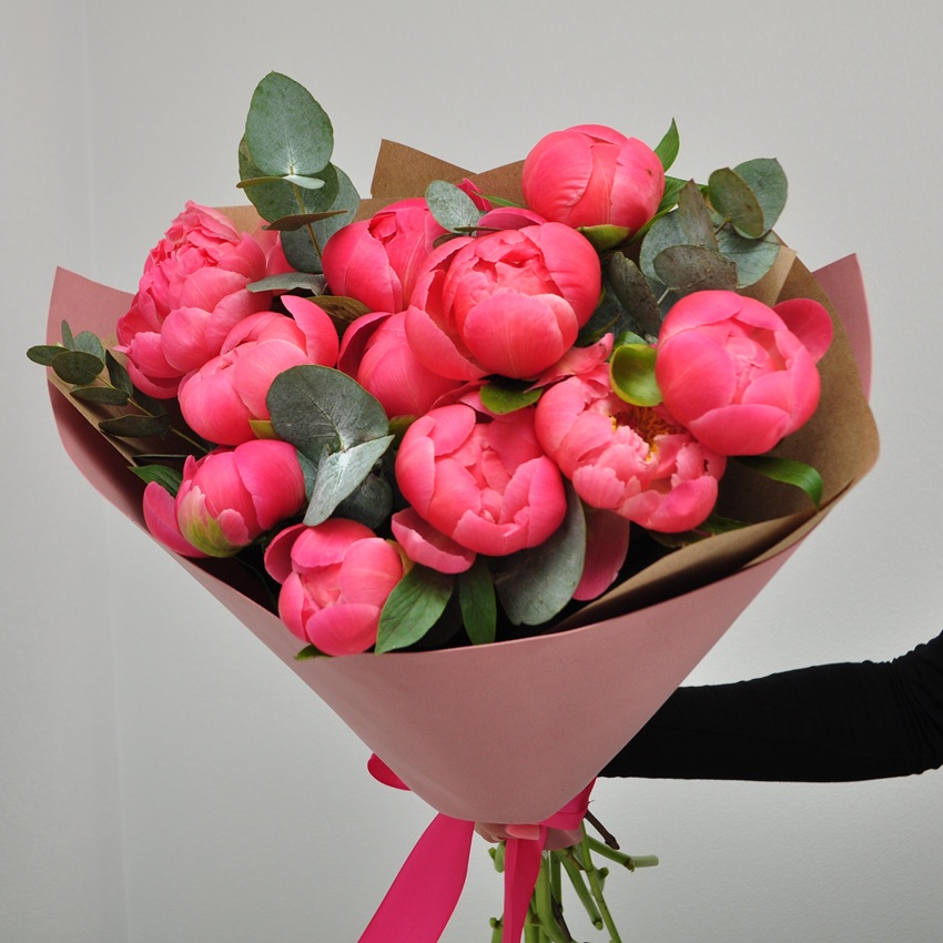 Коралловые пионы, 11 штучек с эвкалиптом