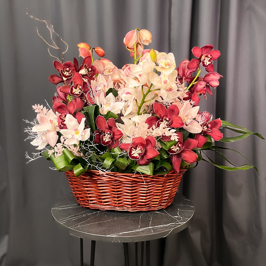 Орхидеи Цимбидиум в роскошной интерьерной корзине