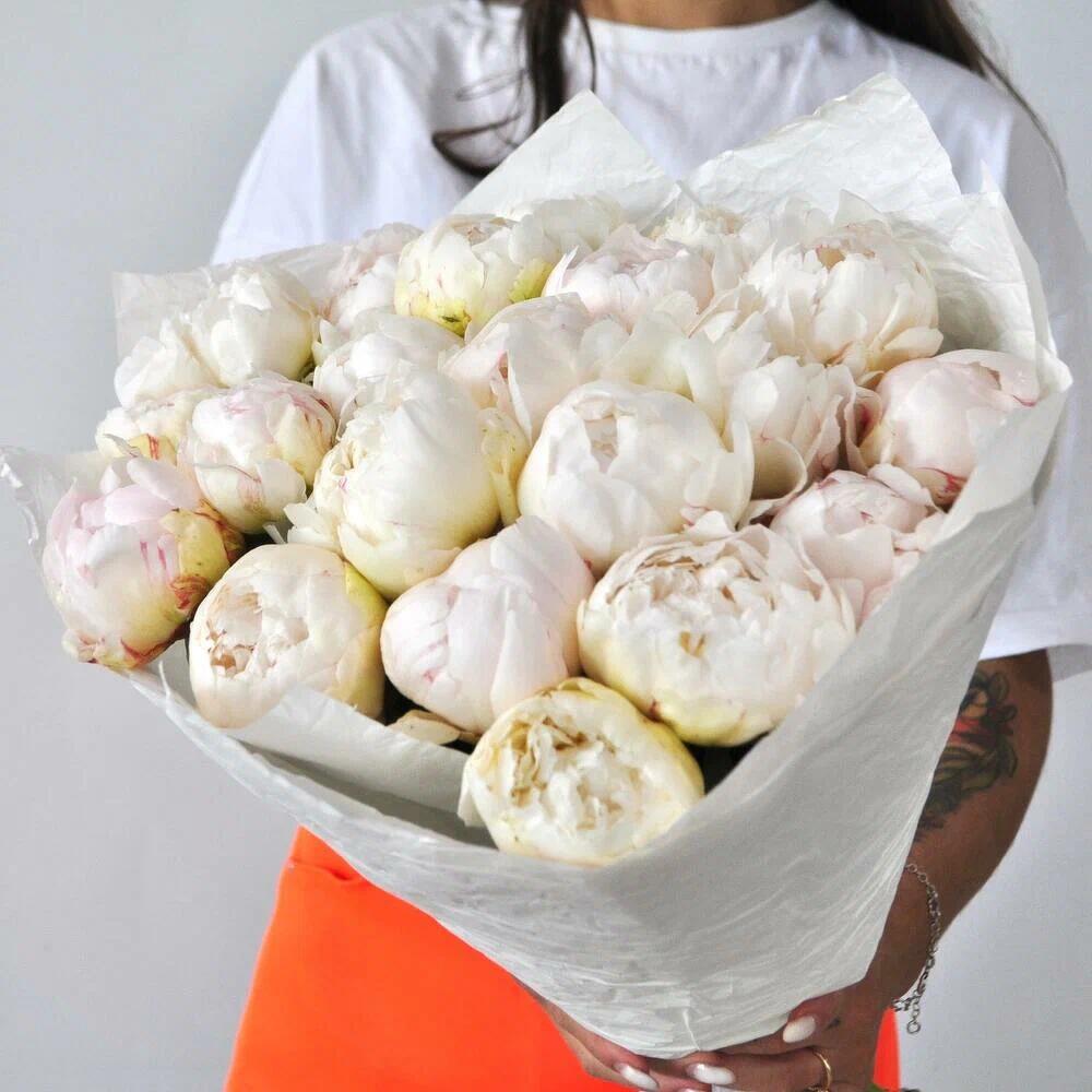 Белые пионы крупные и ароматные, 21 штучка