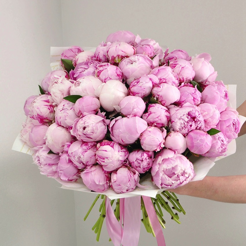 51 пион Сара Бернар (крупные пионы)