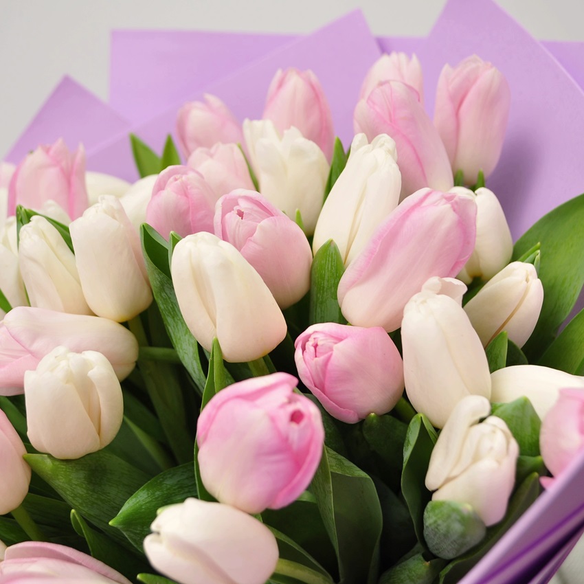 101 тюльпан - Микс Нежности (белые и розовые)