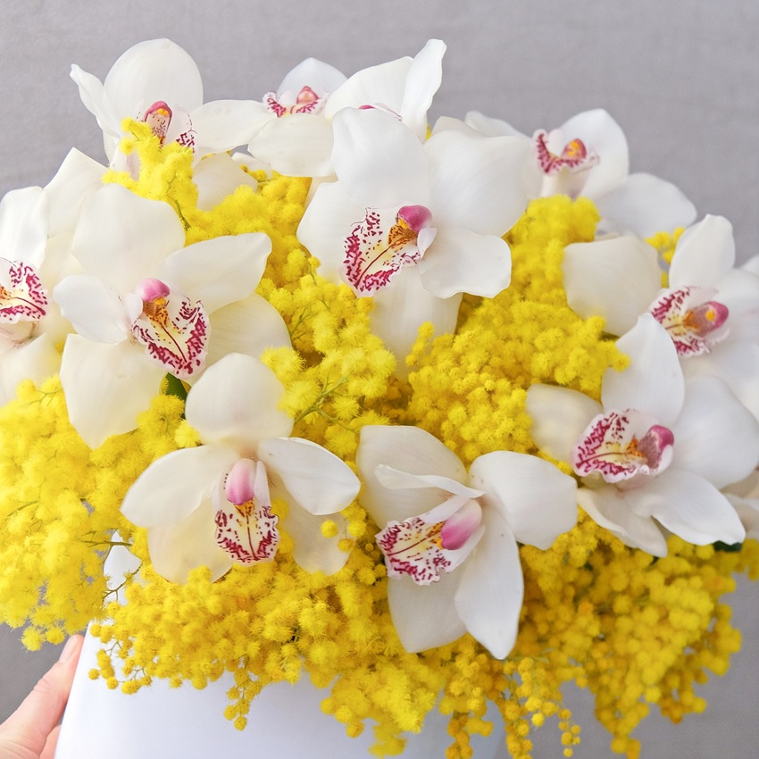 Белые орхидеи и ароматная мимоза в коробке "Медовая орхидея"