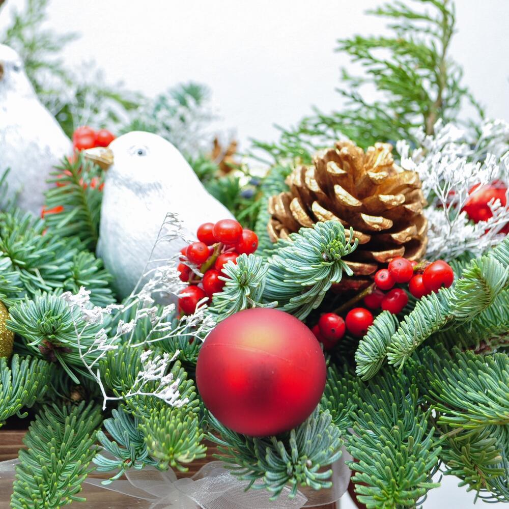 Новогодняя композиция из нобилиса «Ланфрен Ланфра»