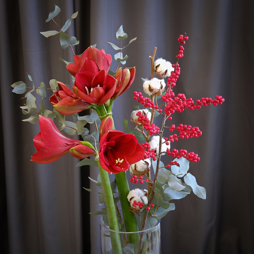 Амариллисы, илекс и хлопок в стеклянной вазе