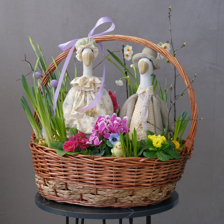 Садик с первоцветами в корзине: мускари, примула, нарциссы и цикламен "Весенние гуси"