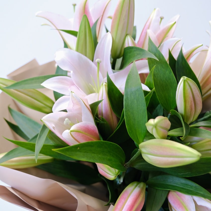 Королевская лилия, 5 веточек