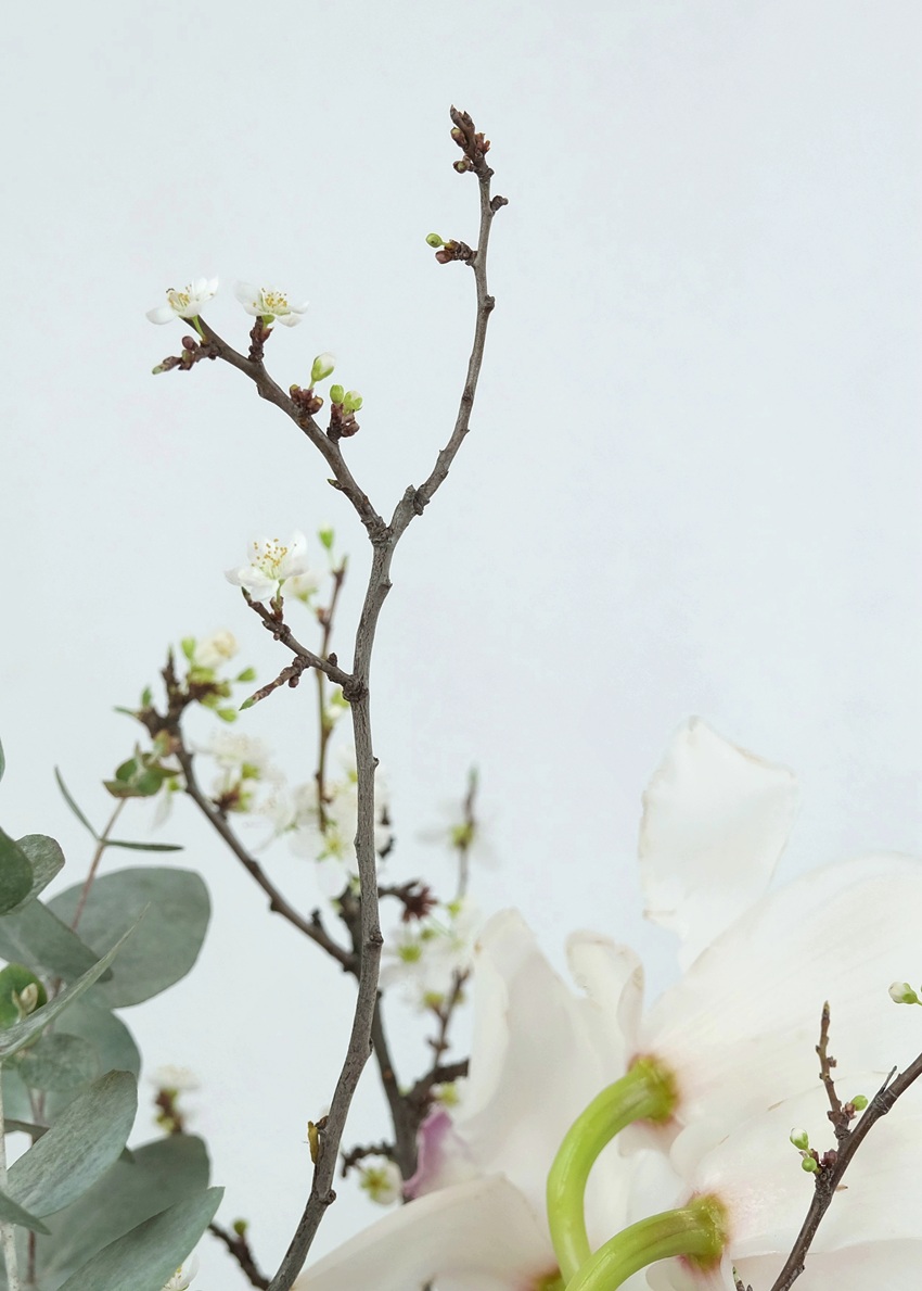 Белая орхидея цимбидиум в стеклянной вазе с эвкалиптом