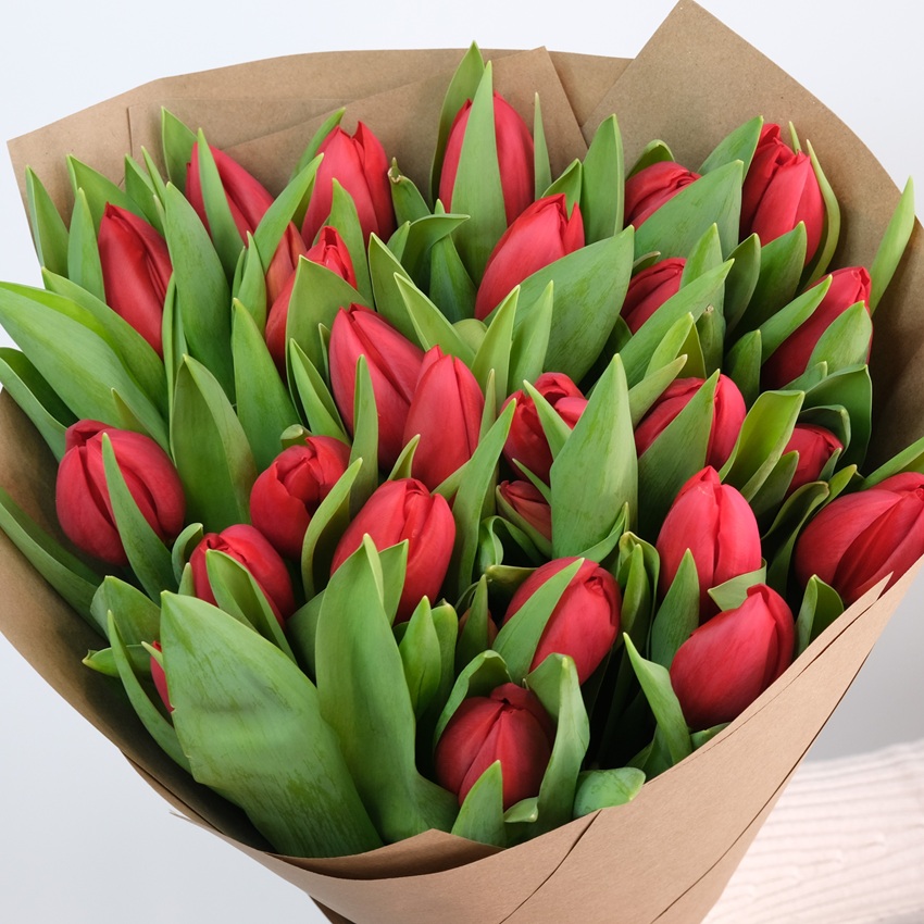 Красные тюльпаны, 25 штучек 