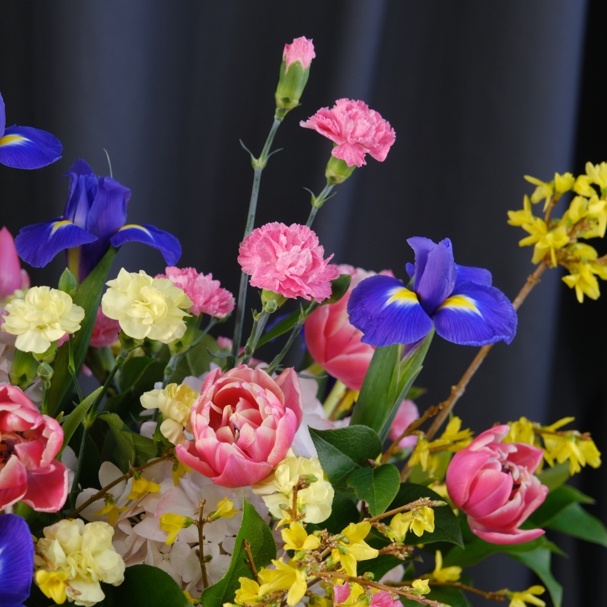 Ирисы, тюльпаны и форзиция в яркой композиции "Весенний вальс цветов"
