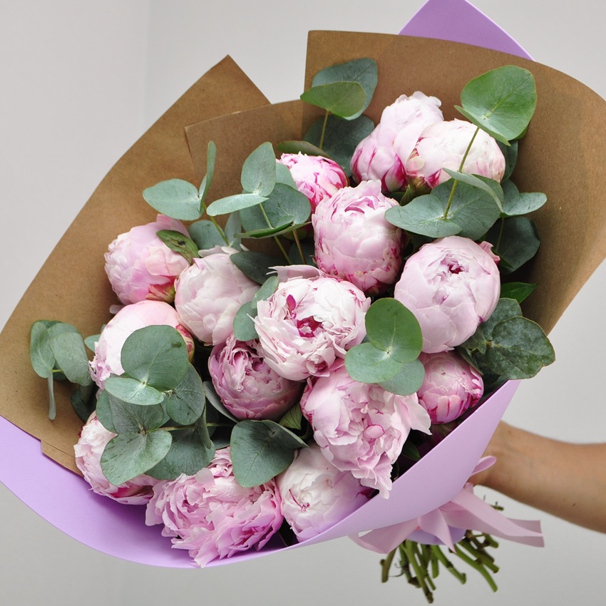 Пионы Сара Бернар, 15 штучек с эвкалиптом