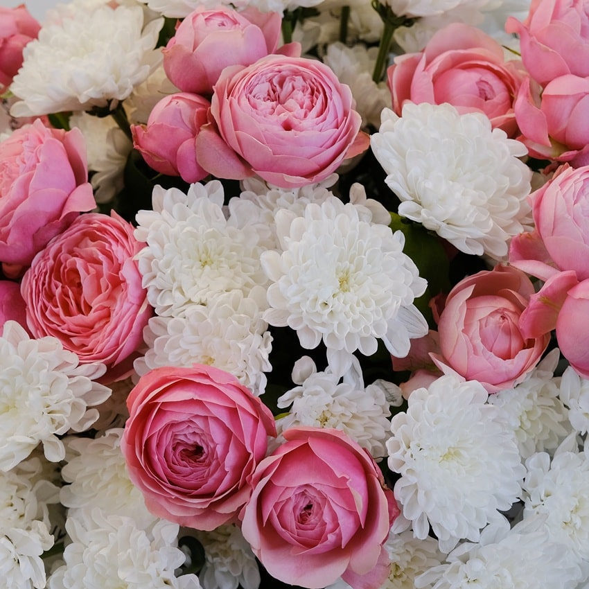 Кустовые пионовидные розы и хризантемы в букете "Моему ангелу"