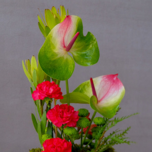 Антуриумы и гвоздики в интерьерной композиции в ящике