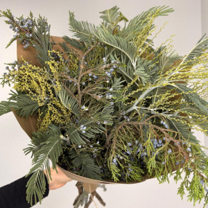 Можжевельник и мимоза: ароматный букет зелени для дома