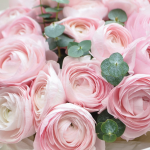 Ранункулюсы, 25 штучек с эвкалиптом