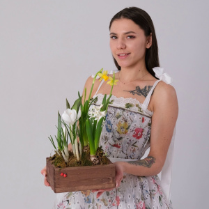 Садик с первоцветами: крокусы, гиацинт, тюльпаны и нарциссы в деревянном ящичке