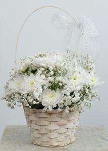 Хризантема и гипсофила в мини корзинке. Цена от 5 шт.