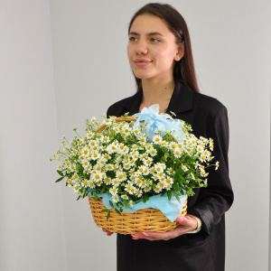 Привет, ромашки! Солнечная охапка ромашек в корзинке