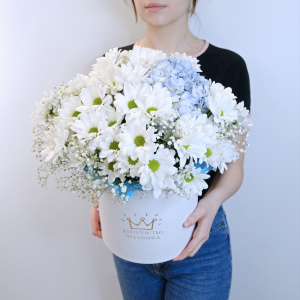 Голубая гортензия и хризантемы в коробочке "Мелодия нежности"