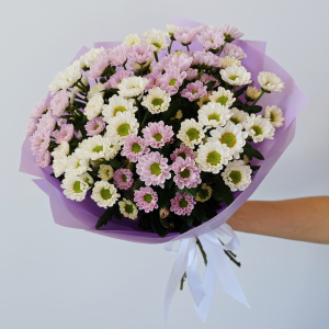 Ромашки Сантини, 11 штучек