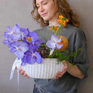 Орхидея Ванда в композиции в керамическом кашпо "Горячий бриз"