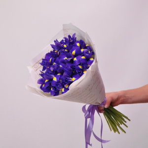 Невероятно яркие ирисы, 21 шт