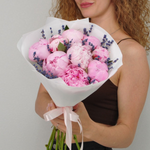 Пионы розовые Сара Бернар, 9 штучек с лавандой