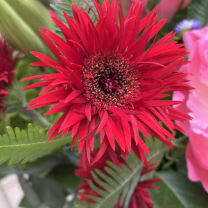 Пионы, герберы и амарант в летнем садовом букете