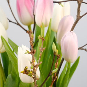 Тюльпаны  и форзиция в стеклянной вазе