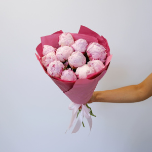 Пионы Сара Бернар Экстра, 11 штук