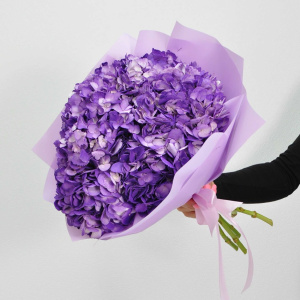 Гортензия 5 штучек, "Сиреневое облачко"