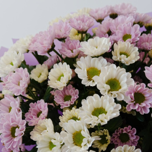 Ромашки Сантини, 11 штучек