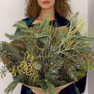 Можжевельник и мимоза: ароматный букет зелени для дома