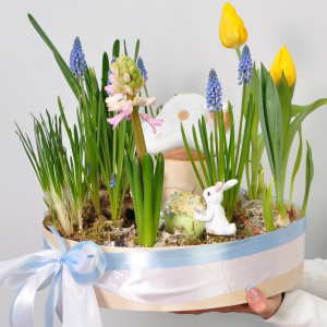 Садик с первоцветами: мускари, тюльпаны и гиацинты "Сказочный домик"