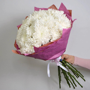 Белые хризантемы, 15 штучек