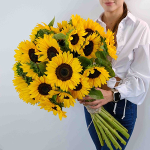 Яркие подсолнухи, 25 штук
