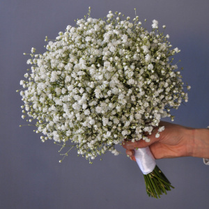 Букет невесты "Воздушная Гипсофила"