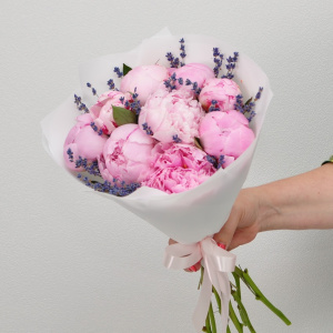 Пионы розовые Сара Бернар, 9 штучек с лавандой