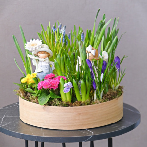 Садик с первоцветами: крокусы, мускари, нарциссы и примула "Цветочный хоровод"