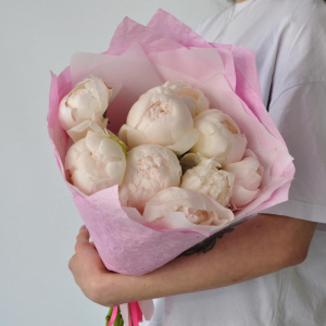 Белые пионы, 9 штучек