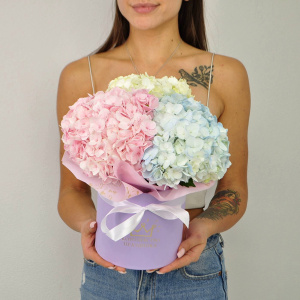 Пушистые гортензии в коробочке, 3 штучки