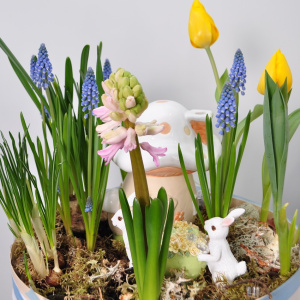 Садик с первоцветами: мускари, тюльпаны и гиацинты "Сказочный домик"