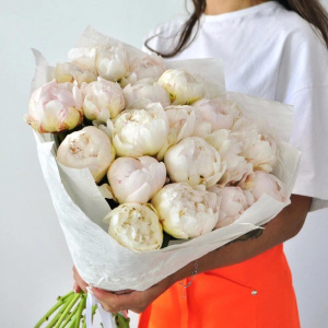 Белые пионы крупные и ароматные, 21 штучка