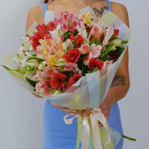 11 альстромерий